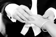 images/_MG_7800.jpg