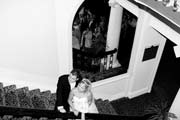 images/_MG_7987.jpg